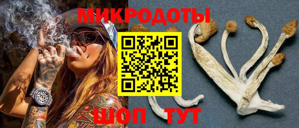 Галлюциногенные грибы MAGIC MUSHROOMS Курск